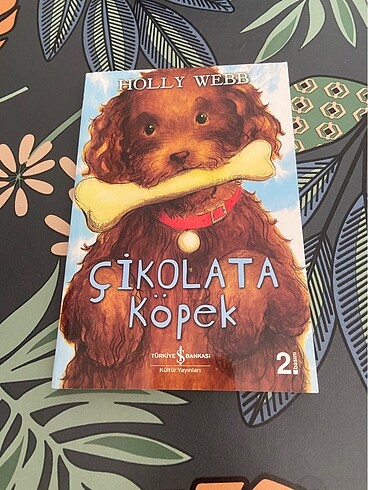 Çikolata köpek iş bankası