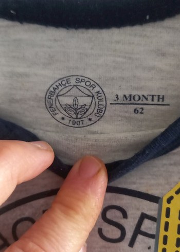 Fenerbahçe Baskılı Gri Erkek Bebek Body - Görsel 2