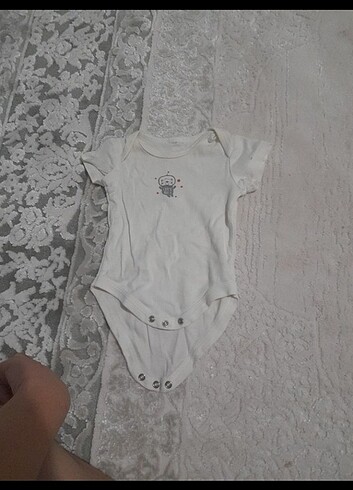 Bebek zibin