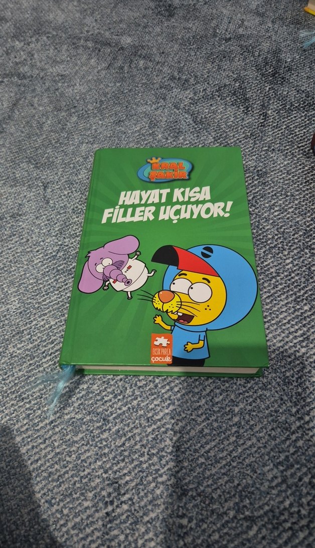 Hayat Kısa Filler Uçuyor! Çocuk Kitabı - Görsel 3