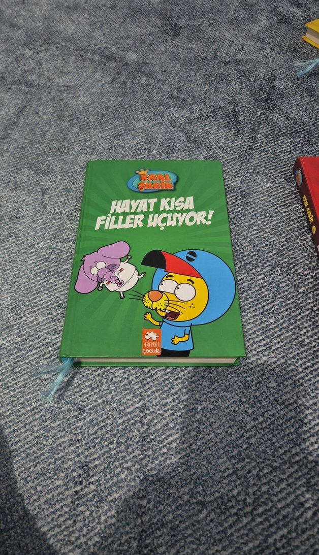 Hayat Kısa Filler Uçuyor! Çocuk Kitabı - Görsel 2