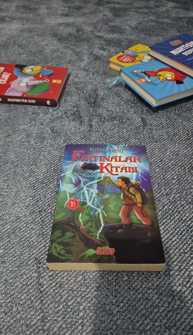 Fırtınalar Kitabı - Ruth Hatfield - Görsel 2