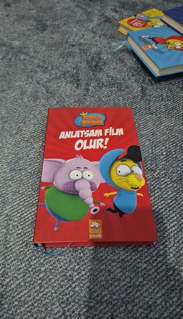 Kral Şakir Anıtsam Film Olur Çocuk Kitabı - Görsel 2