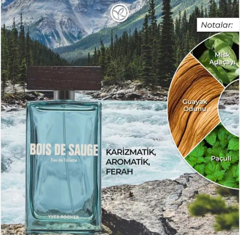 Bois De Sauge EDT Erkek Parfümü 100 ml - Görsel 2