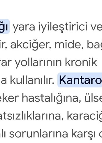 Kantaron Yağı 15 ml - Herbal Wind - Görsel 6