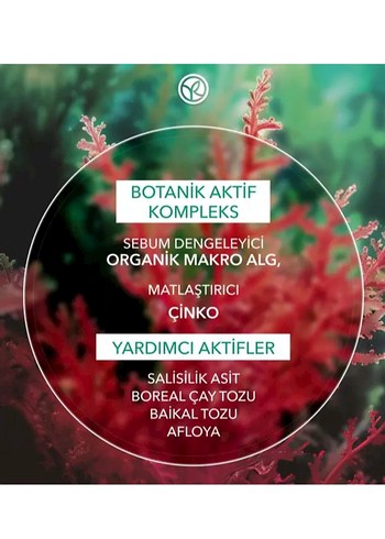 Yves Rocher Sebo Active Clear Jel Krem 50 ml - Görsel 4