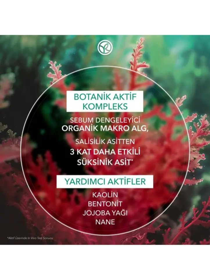 Yves Rocher Kömür Maskesi - Karma ve Yağlı Ciltler - Görsel 2