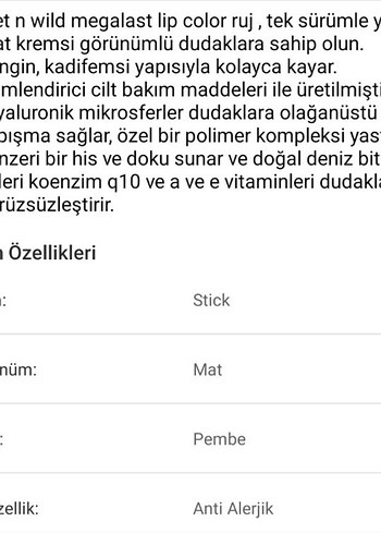 WET WILD MAT RUJ E96 - Görsel 3