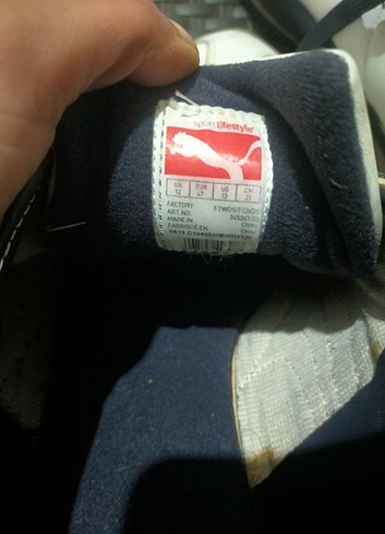 Puma Puma