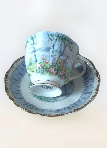 Royal Albert Silver Brich Çay Fincanı 