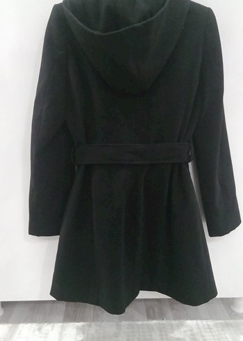 Siyah Kuşaklı Kaban - Görsel 2