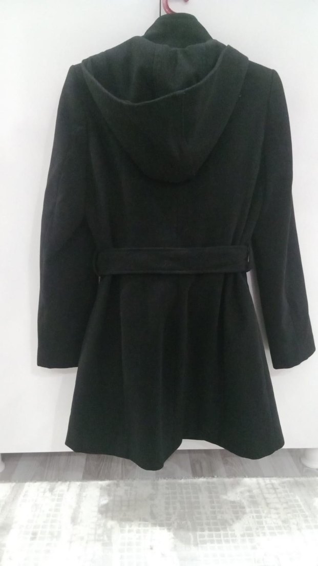 Siyah Kuşaklı Kaban - Görsel 2