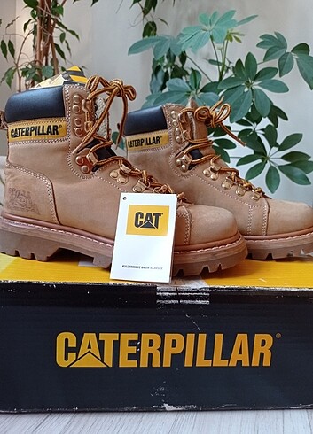 Orjinal Caterpillar honey Cat bot sarı hardal sarısı