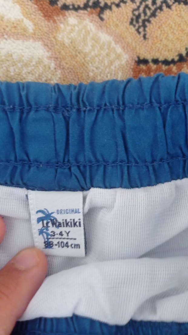 Renkli Baskılı Mavi Erkek  çocuk deniz şortu - Görsel 2