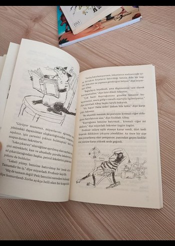 Martıya Uçmayı Öğreten Kedi - Luis Sepúlveda - Görsel 3