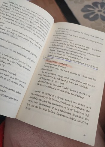 Martıya Uçmayı Öğreten Kedi - Luis Sepúlveda - Görsel 6