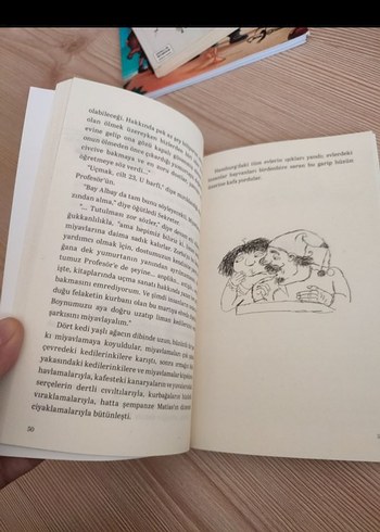 Martıya Uçmayı Öğreten Kedi - Luis Sepúlveda - Görsel 2