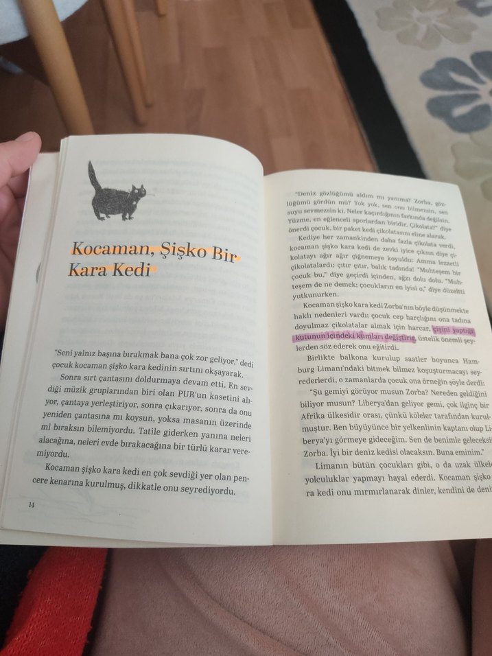 Martıya Uçmayı Öğreten Kedi - Luis Sepúlveda - Görsel 5