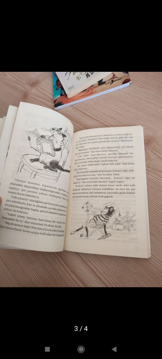 Martıya Uçmayı Öğreten Kedi - Luis Sepúlveda - Görsel 3