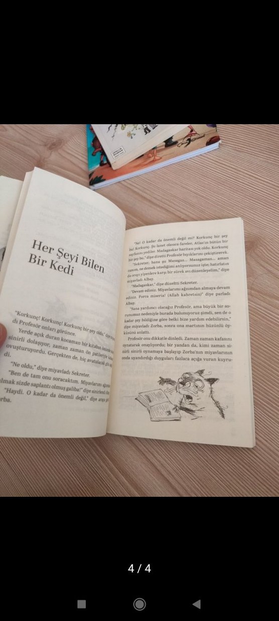 Martıya Uçmayı Öğreten Kedi - Luis Sepúlveda - Görsel 4