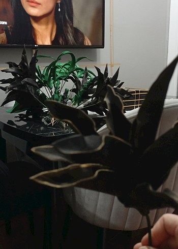 siyah Gold Dekoratif Yapay Bitki - Görsel 4