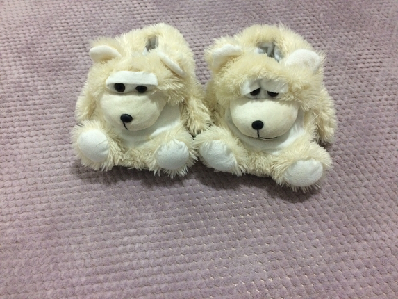 EV PANDUFU