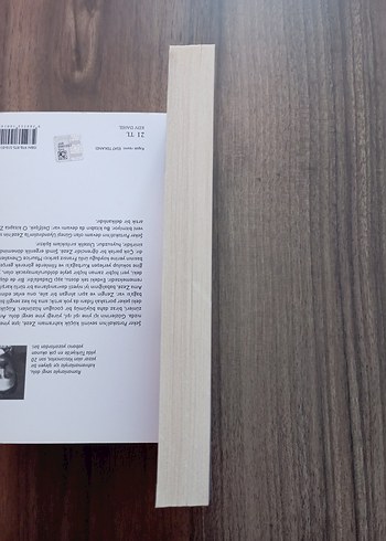  Beden Edith Wharton - Ay'ın Parıltıları