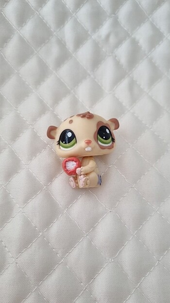  İlk minislerden 