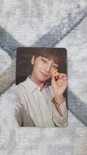 Jeongin Noeasy Pc (Fotokart)