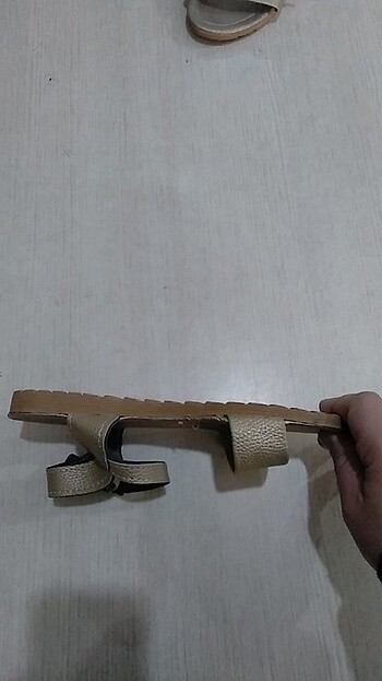 37 Beden Yeni 