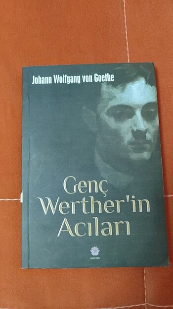 Genç Wertherin Acıları