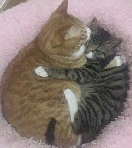 minsung id
