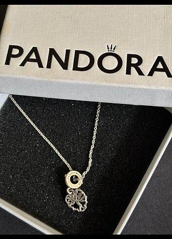 Pandora kolye - Görsel 6