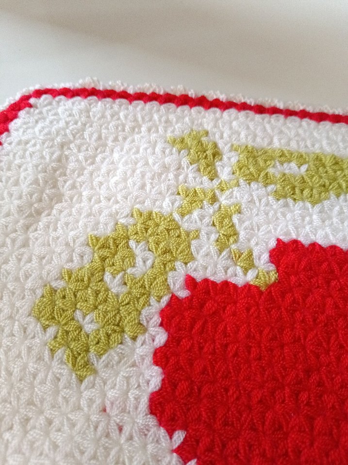 Kare Kırmızı Elma Desenli Beyaz Lif - Görsel 4