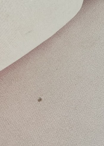 Diğer Çay seti koltuk takımı