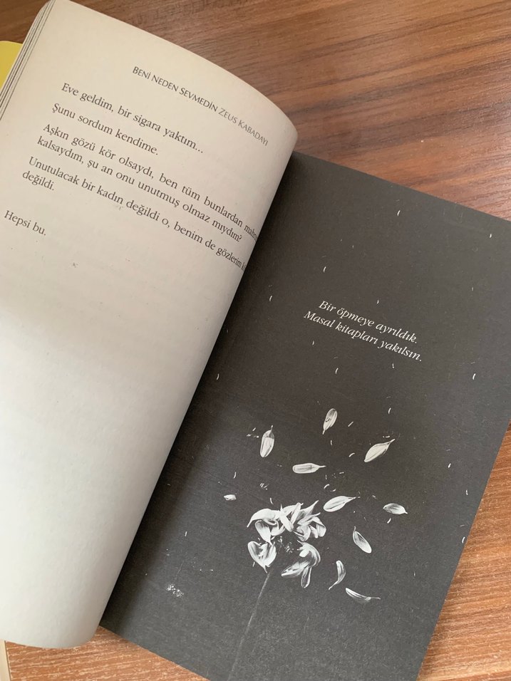 Beni Neden Sevmedin? - Zeus Kabadayı - Görsel 3