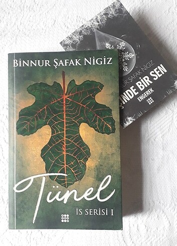 Tünel is serisi 1 binnur şafak nigiz