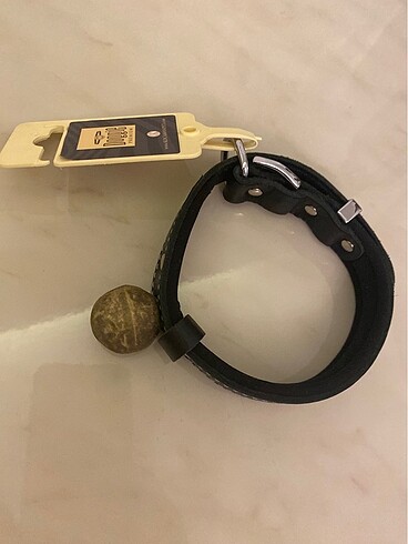 Köpek tasması - Görsel 2