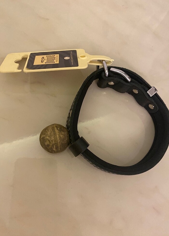 Köpek tasması - Görsel 2