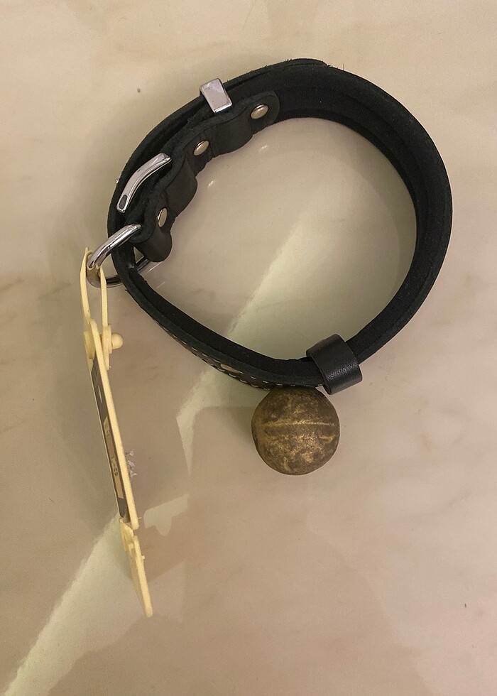 Köpek tasması - Görsel 4