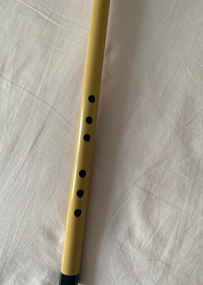 Ney krem renk - Görsel 2