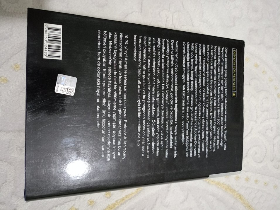 İŞ BANKASI Nietzsche - Julian Young CİLTLİ - Görsel 4