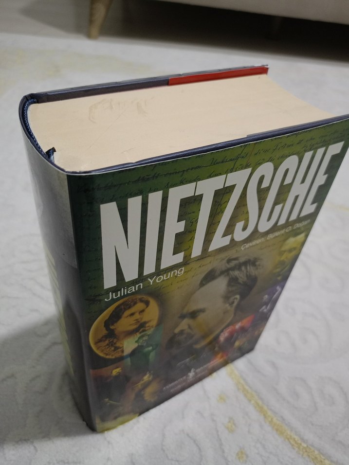 İŞ BANKASI Nietzsche - Julian Young CİLTLİ - Görsel 3