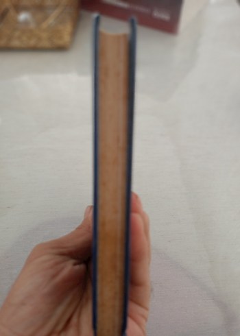 Percy Jackson ve Olimposlular: Melez Dosyaları ciltli - Görsel 2