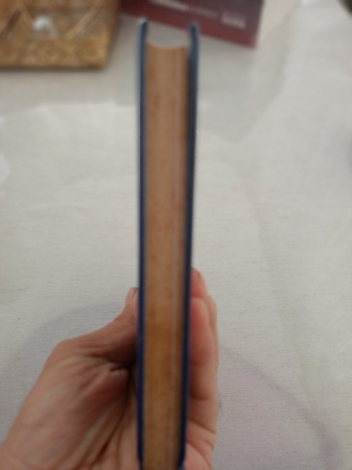 Percy Jackson ve Olimposlular: Melez Dosyaları ciltli - Görsel 2