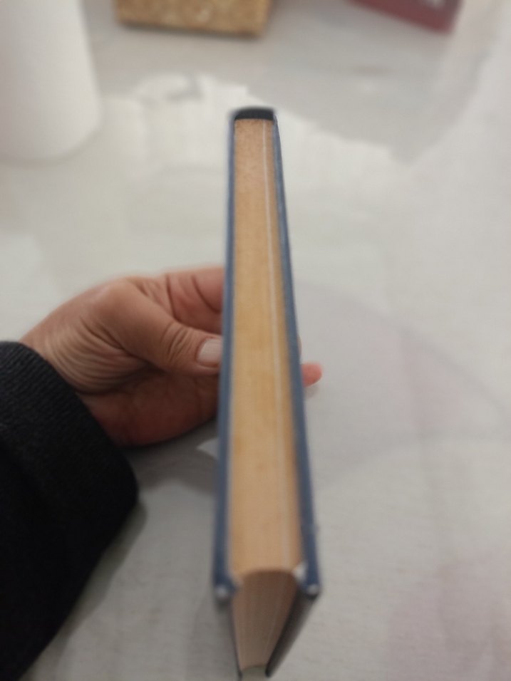 Percy Jackson ve Olimposlular: Melez Dosyaları ciltli - Görsel 4