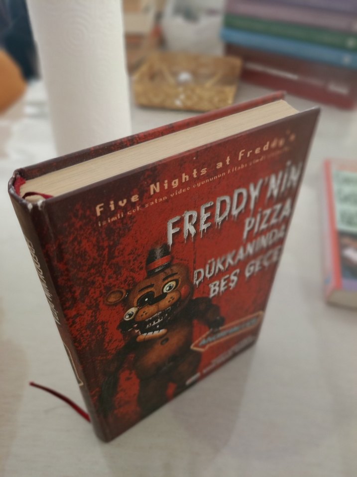 Freddy'nin Pizza Dükkanında Beş Gece - Anormaller ciltli - Görsel 2