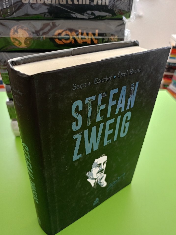 REN KİTAP CİLTLİ VE ŞÖMİZLİ - Görsel 2