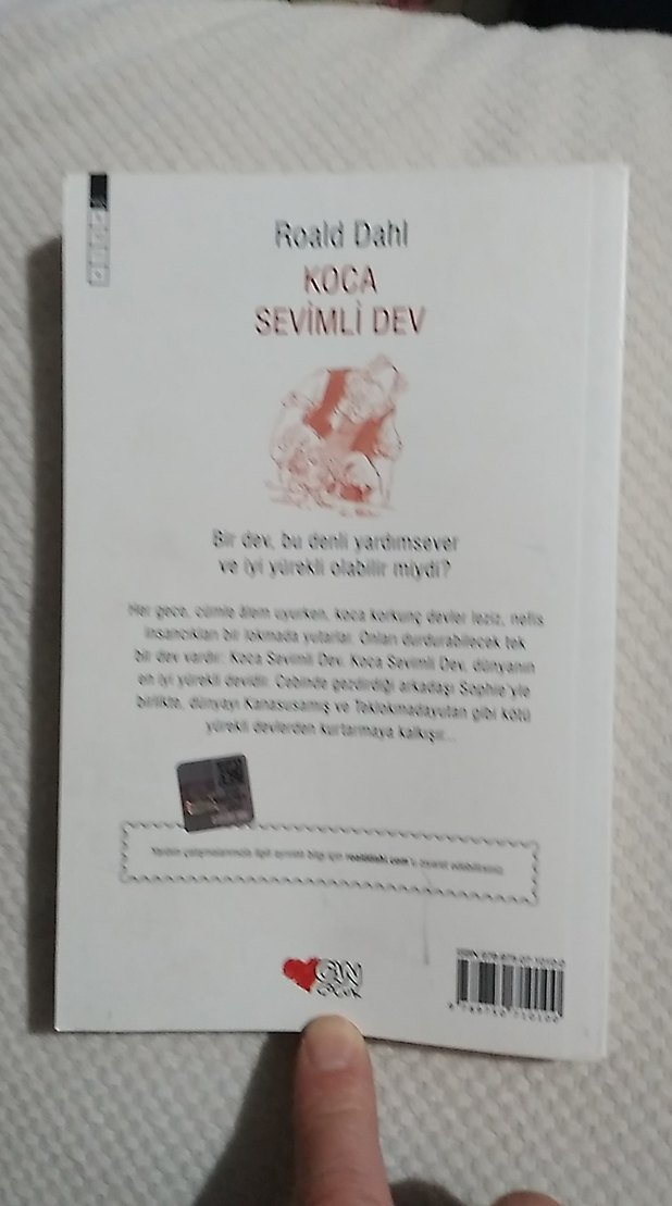 Roald Dahl Koca Sevimli Dev - Görsel 5