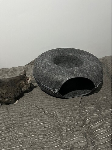 Beden donut kedi evi